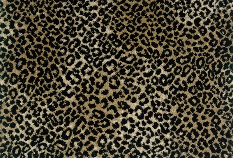 Lake Jaguar Taupe Black