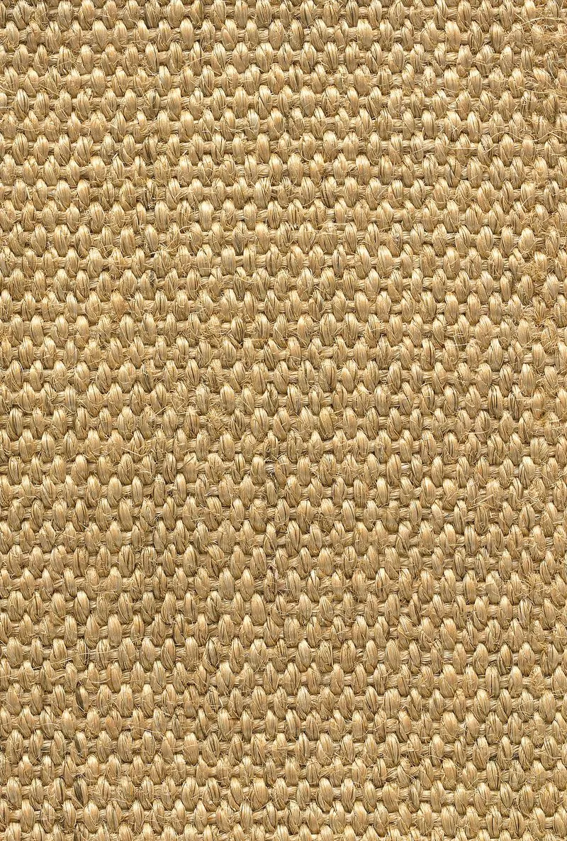 Accra Nutmeg