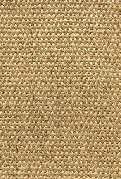 Nutmeg