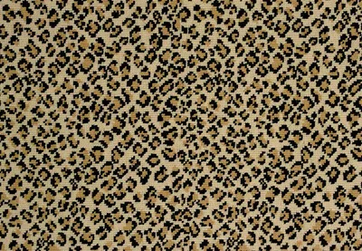 True Leopard