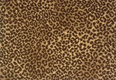 Sand Brown