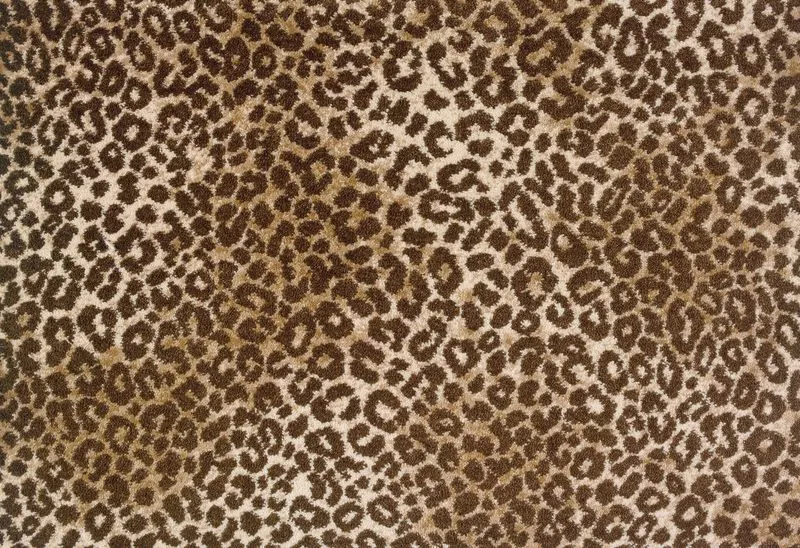 Lake Jaguar Beige Brown