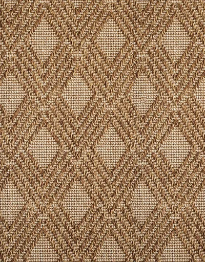Cedar