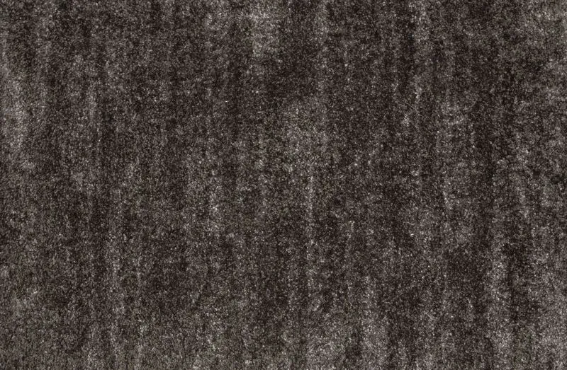 Hollywood Square Coal