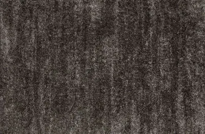 Coal
