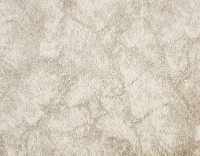 Cord