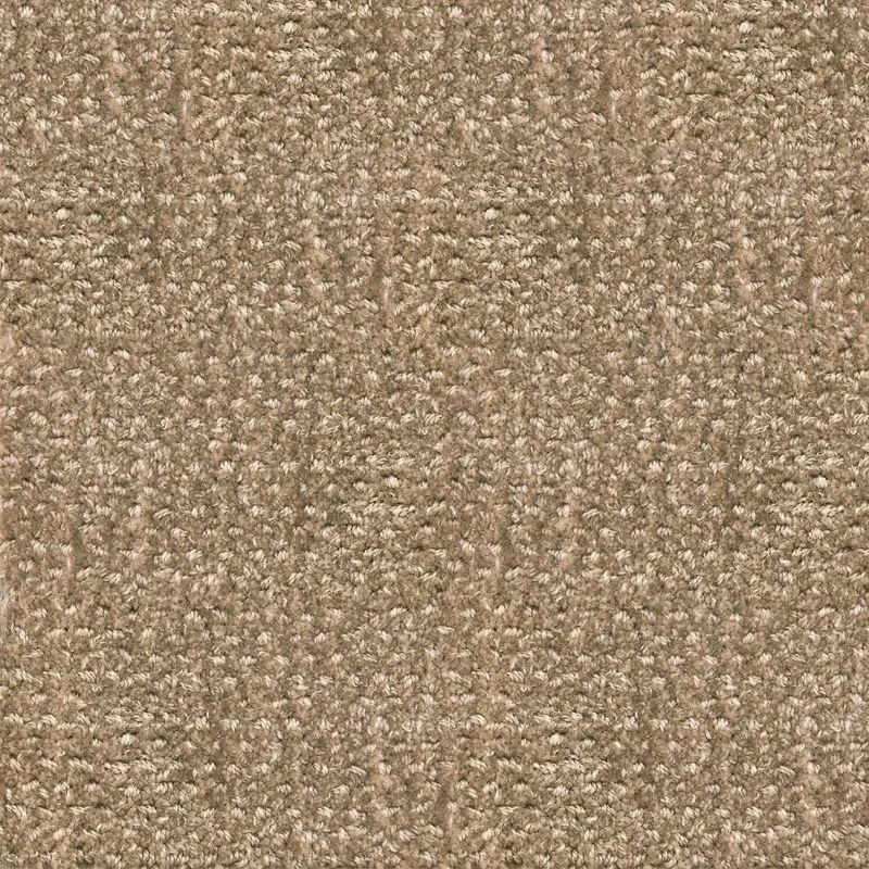 Clemson Fossil