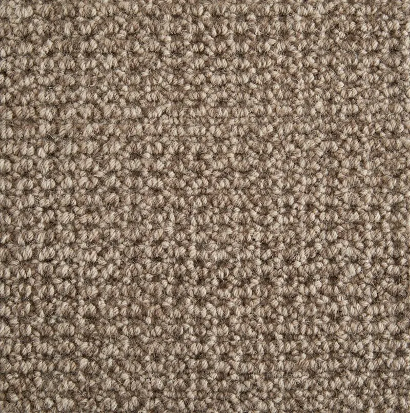 Jagger Lead
