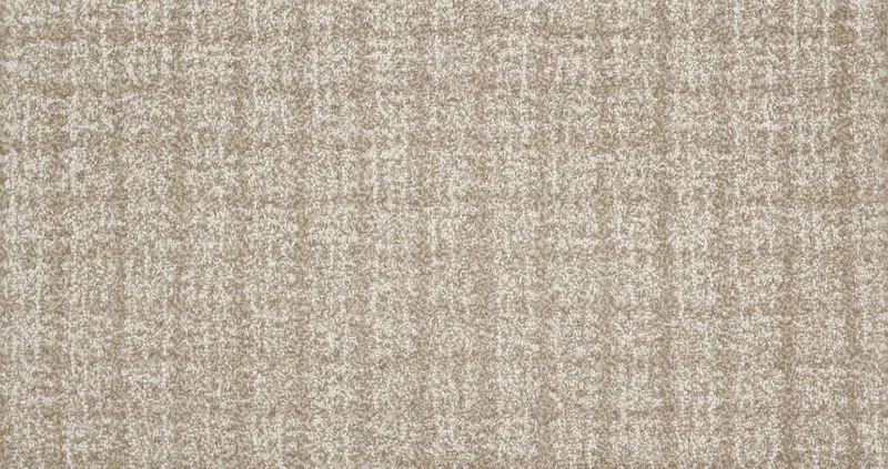 Prinsloo Fossil
