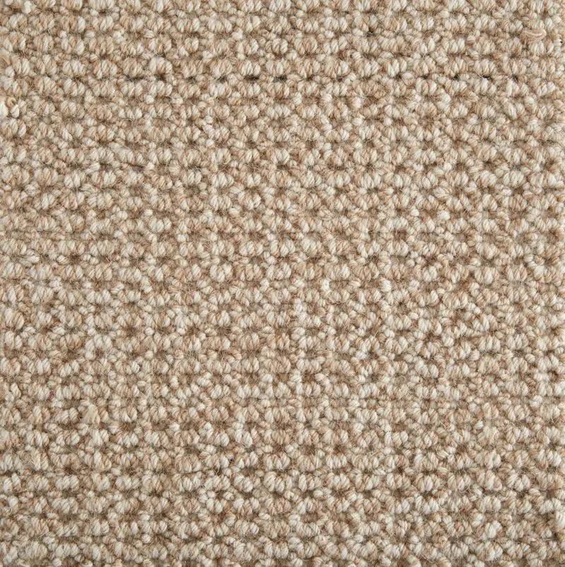 Jagger Cord