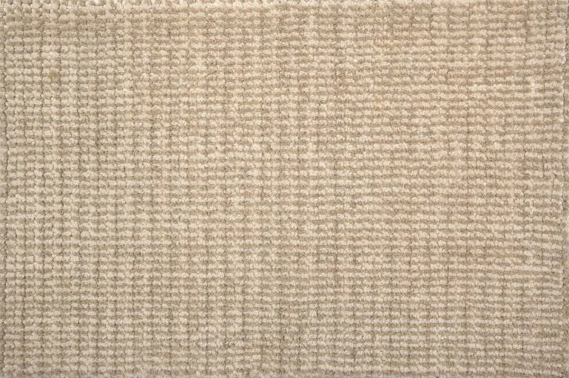 Esha Canvas