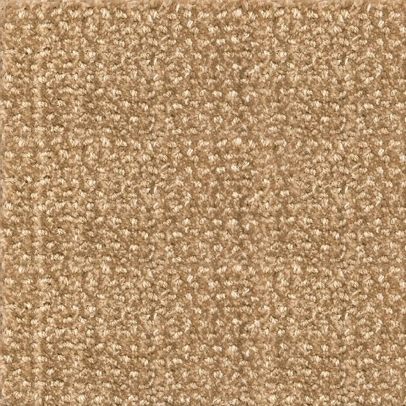Clemson Taupe