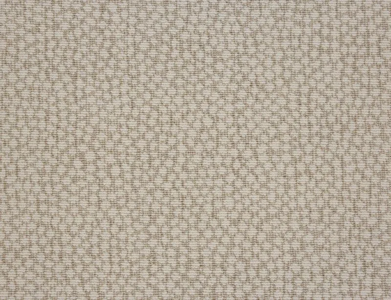Jubatus Sand