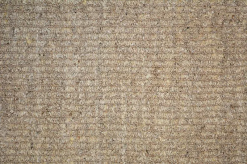 Panaji Sandstone