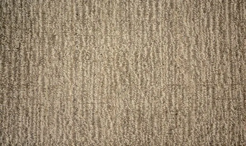 Pesci Gravel