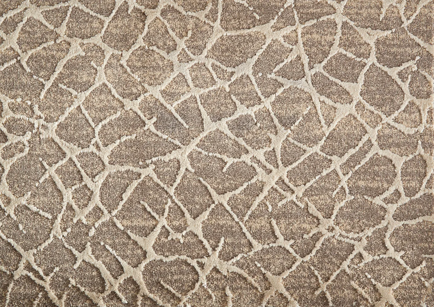 Retreat desert