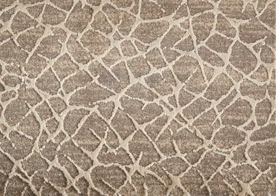 desert