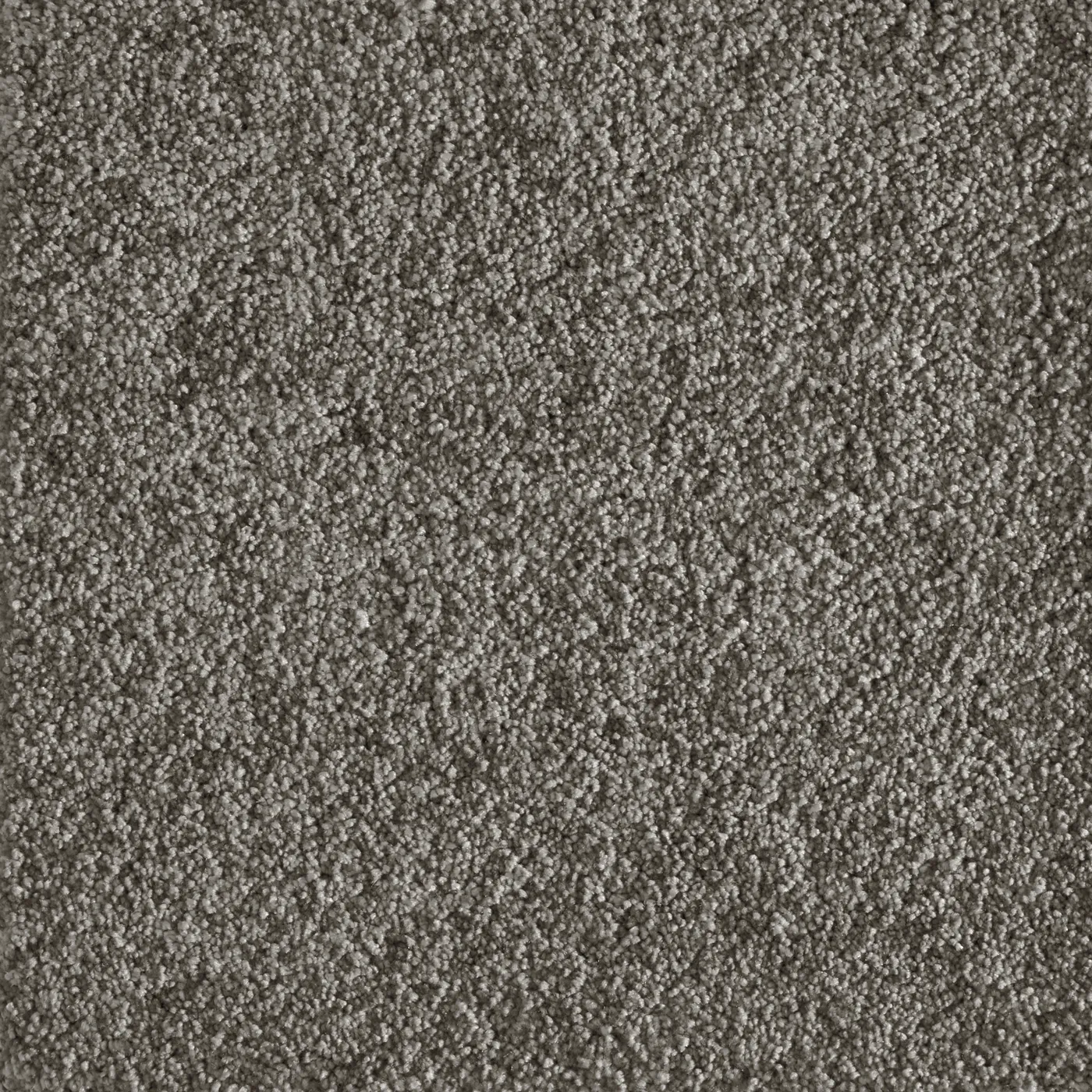 Funky Pewter