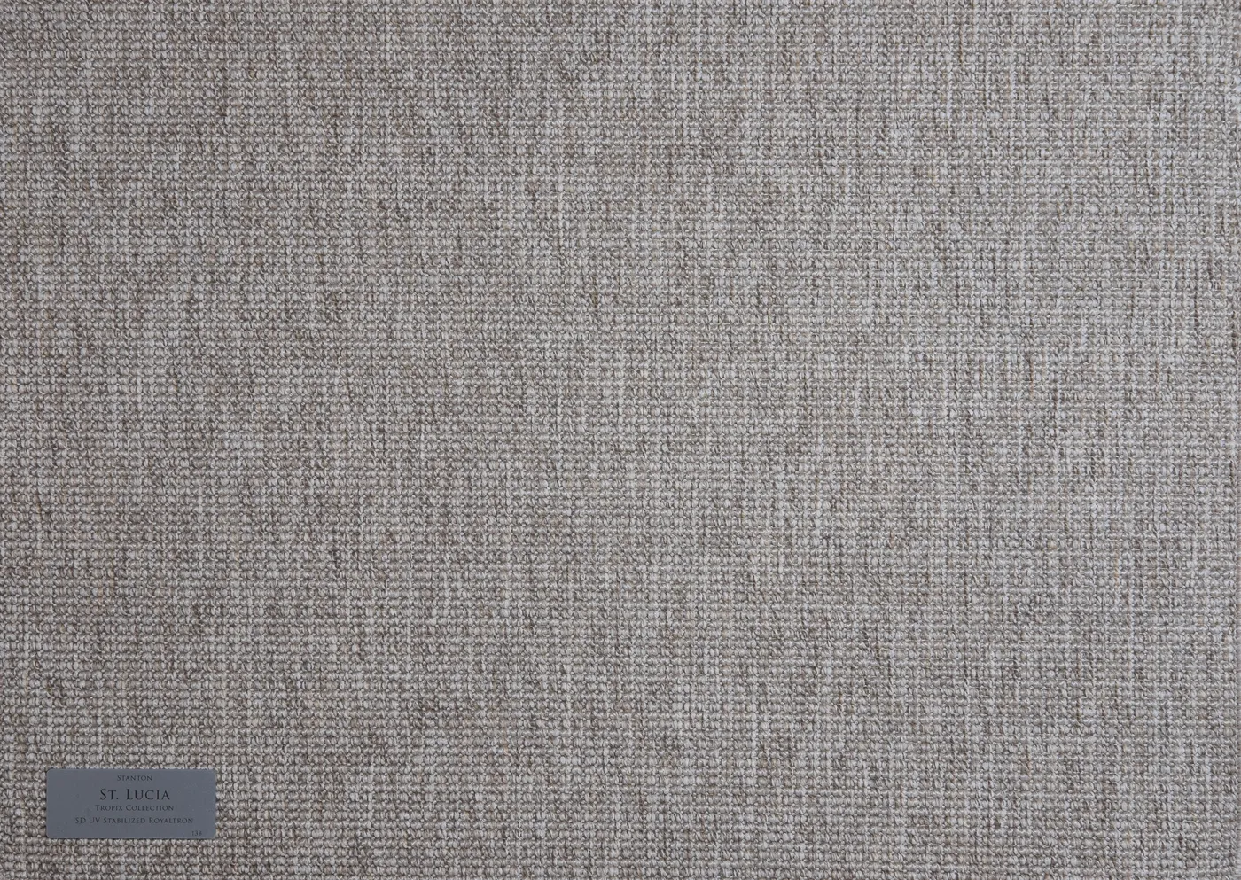 Trinidad 73434 Shell
