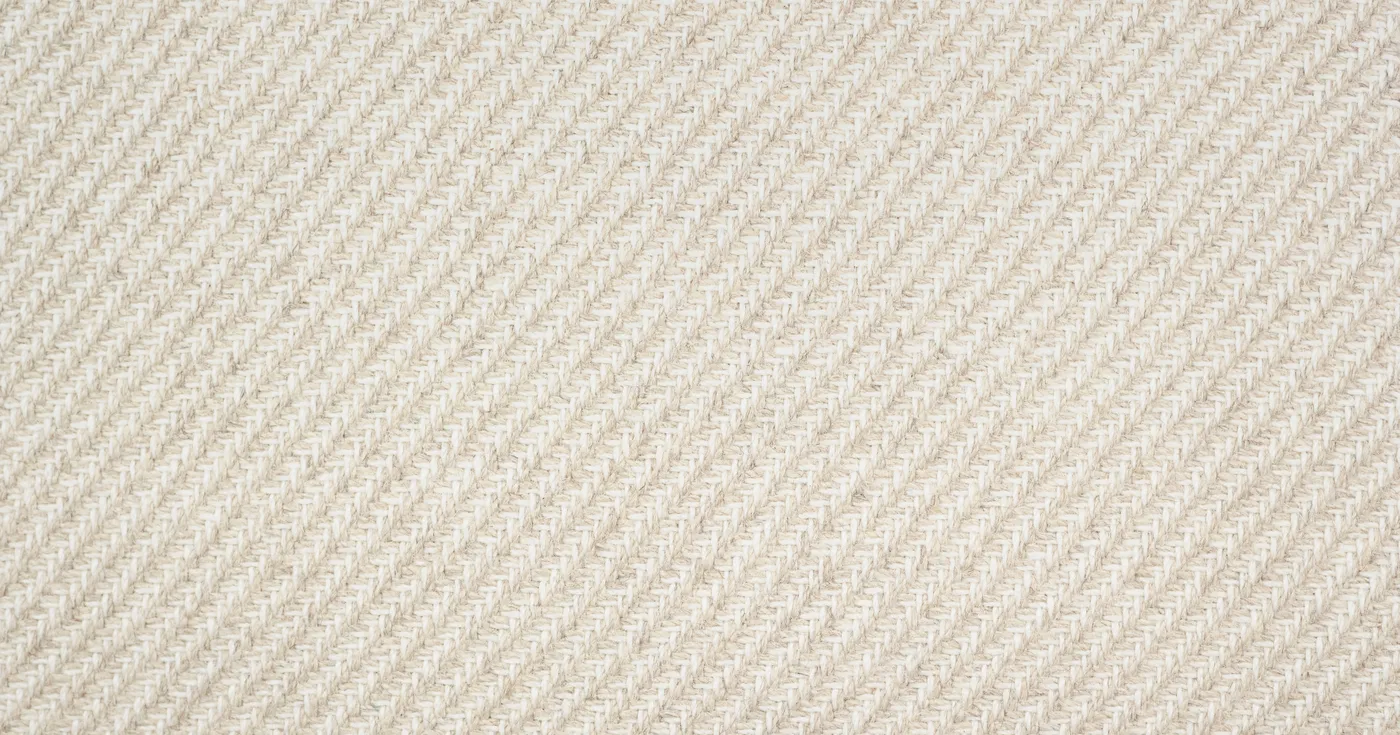 Saltus Canvas