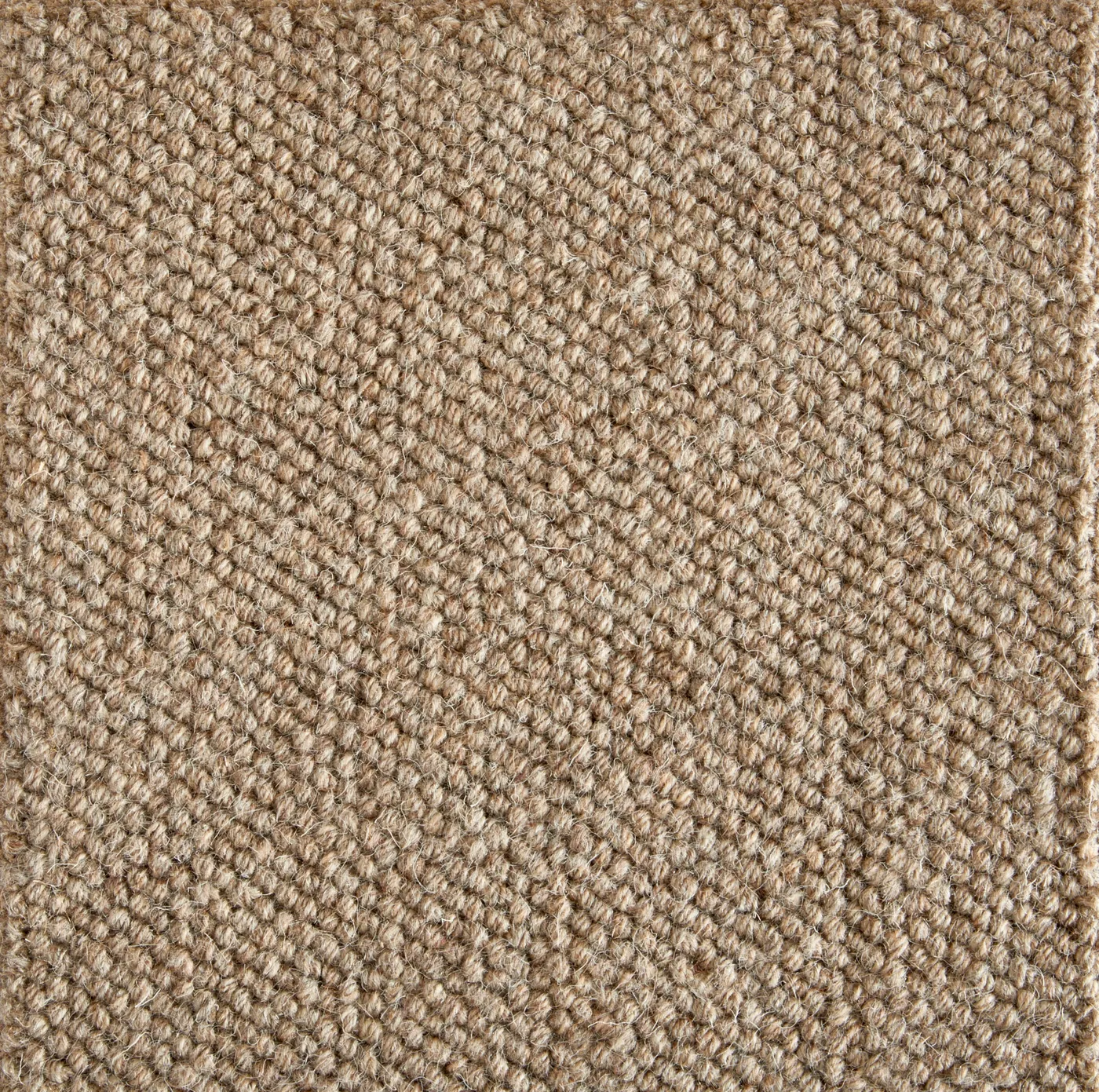 Sembra Bark