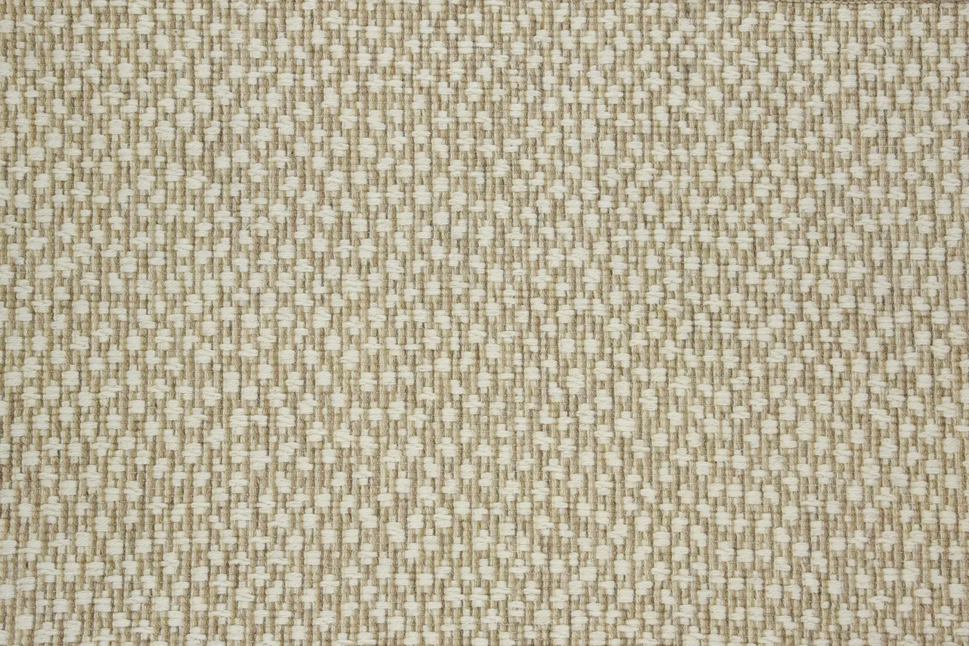 Diya Wheat