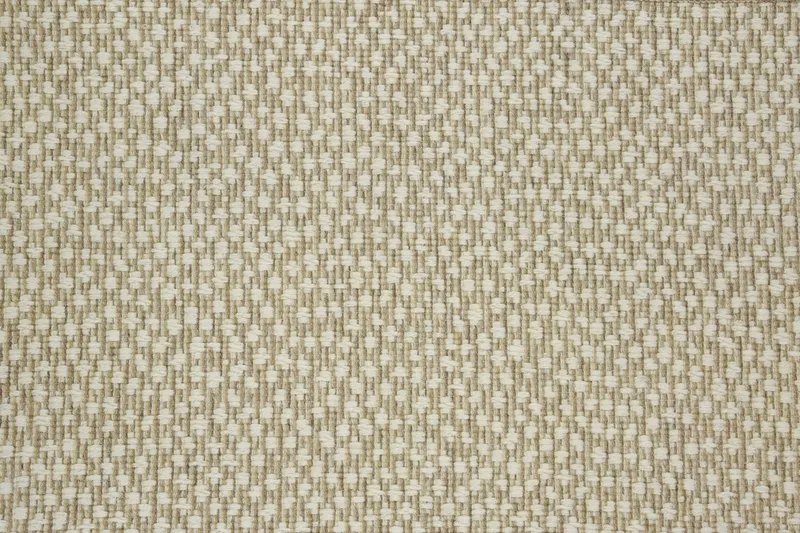 Diya Wheat