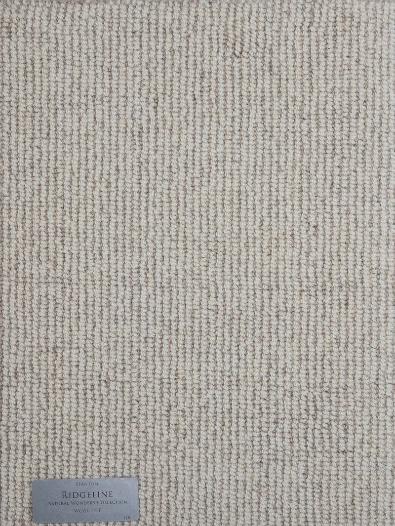 Angular Confusion Vanilla