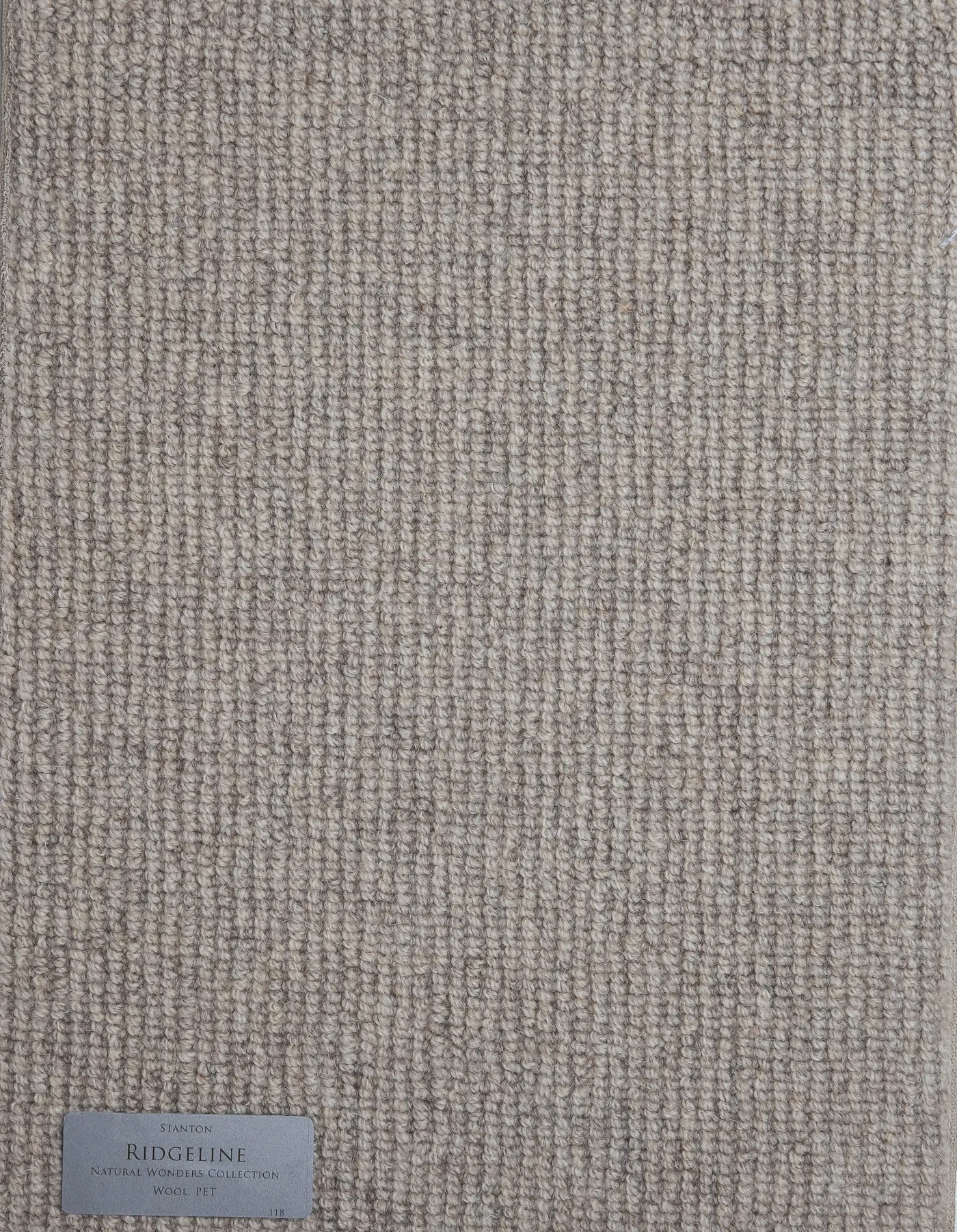 Angular Confusion Dakota Tan