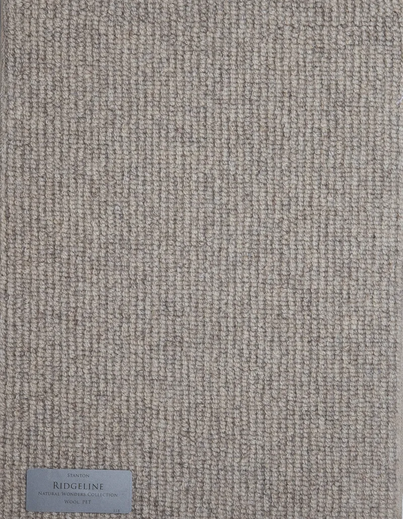 Angular Confusion Dakota Tan