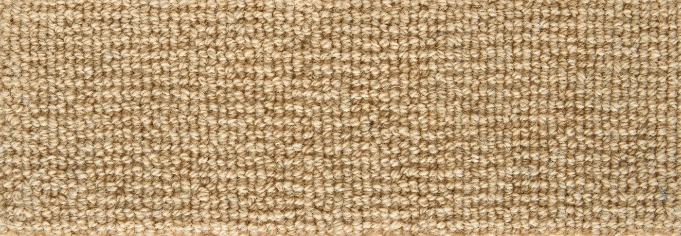 Forever Burberry Beige