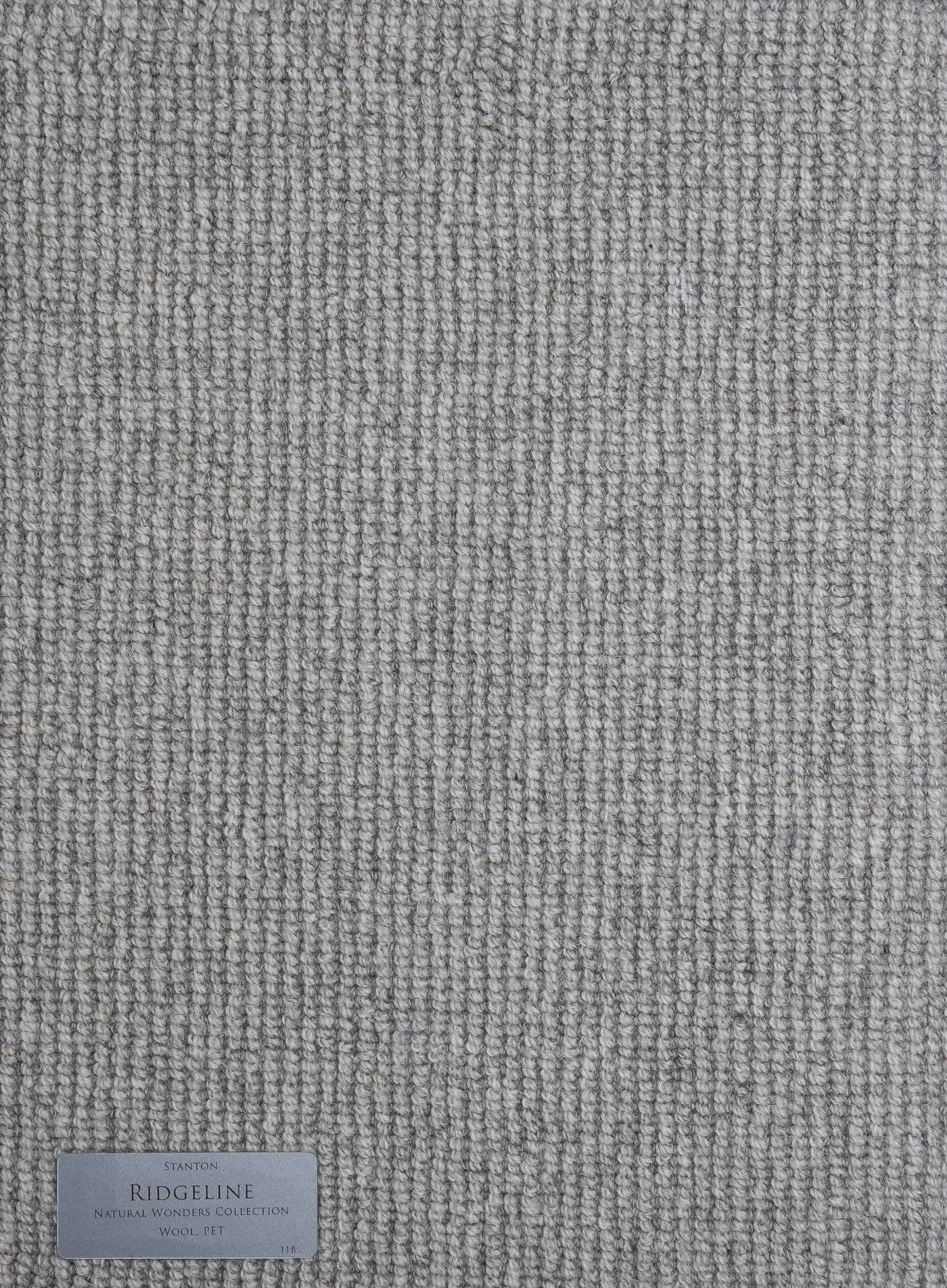 Angular Confusion Heather