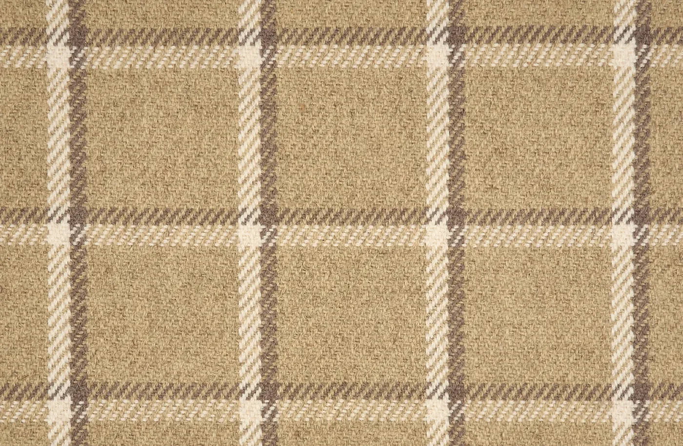 Wilder Flax
