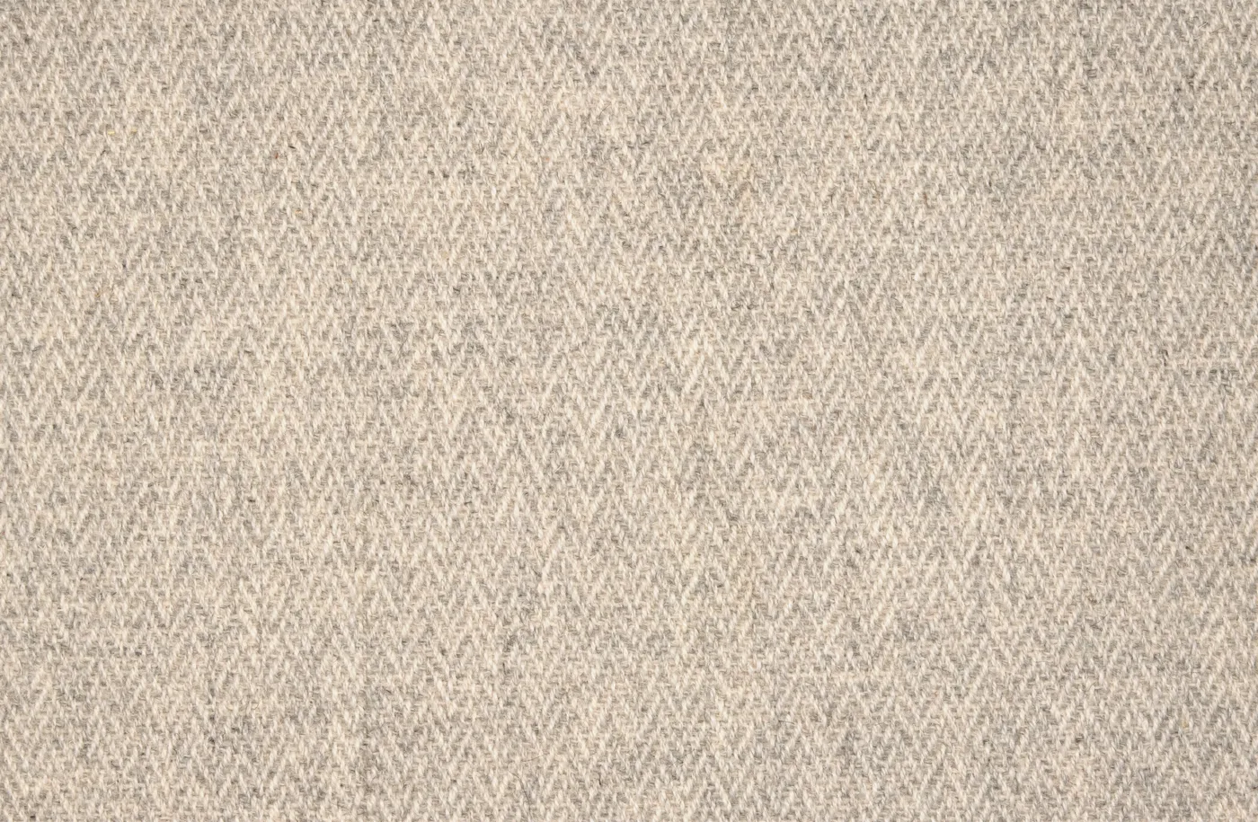 Iroz Fossil