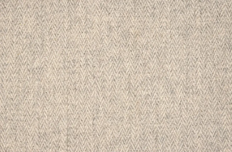 Iroz Fossil