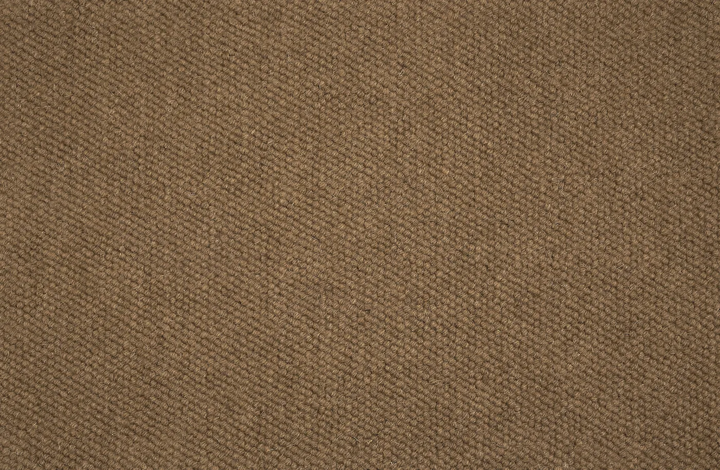 Lama Caramel