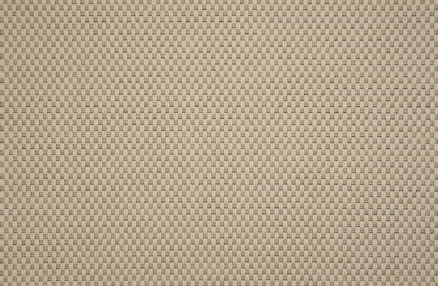 Bay Point Oyster Pearl