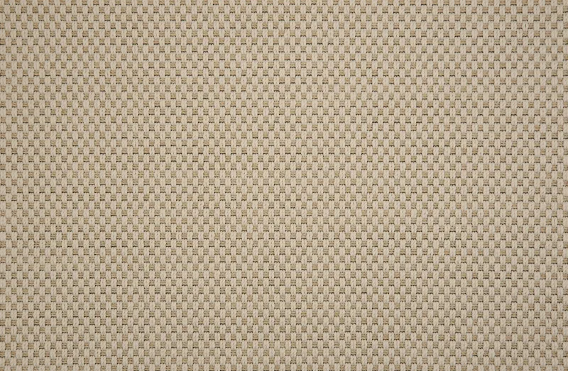 Bay Point Oyster Pearl