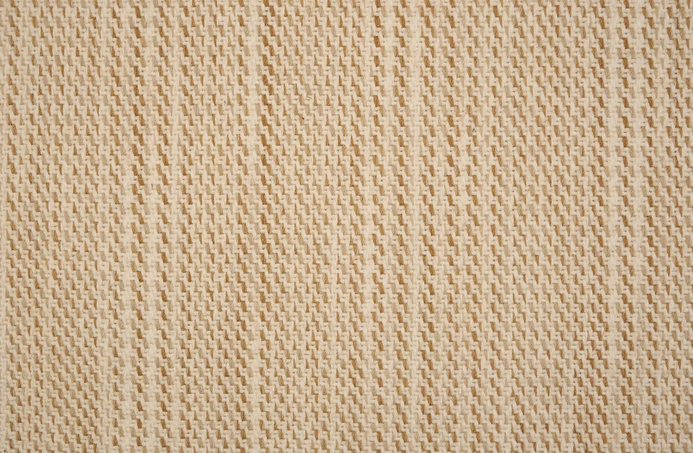 Sylvian Ochre