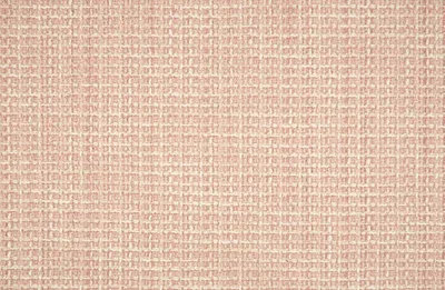 Bellini