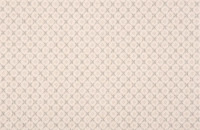 Brinton Silver Screen