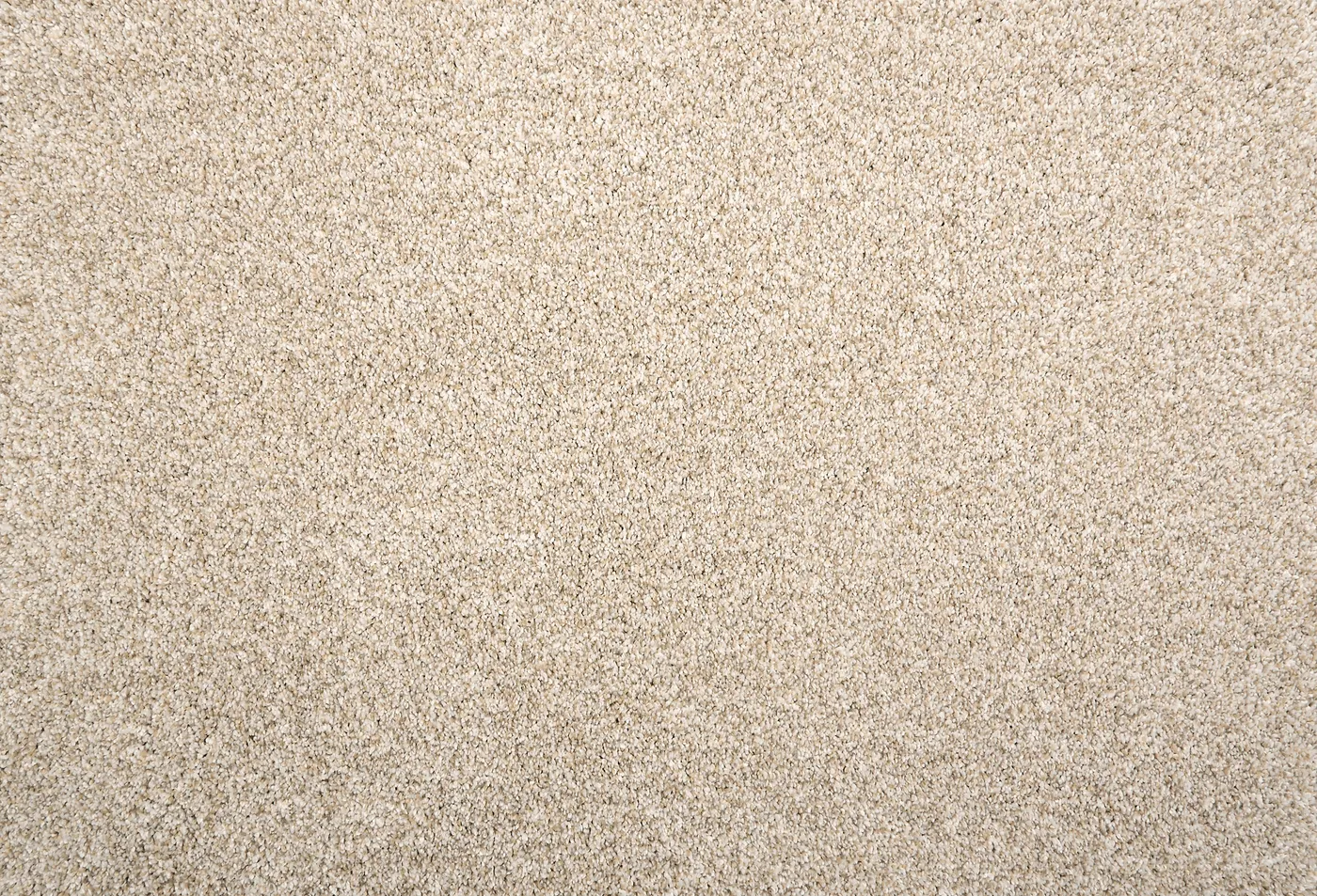 Beech Hill Sand