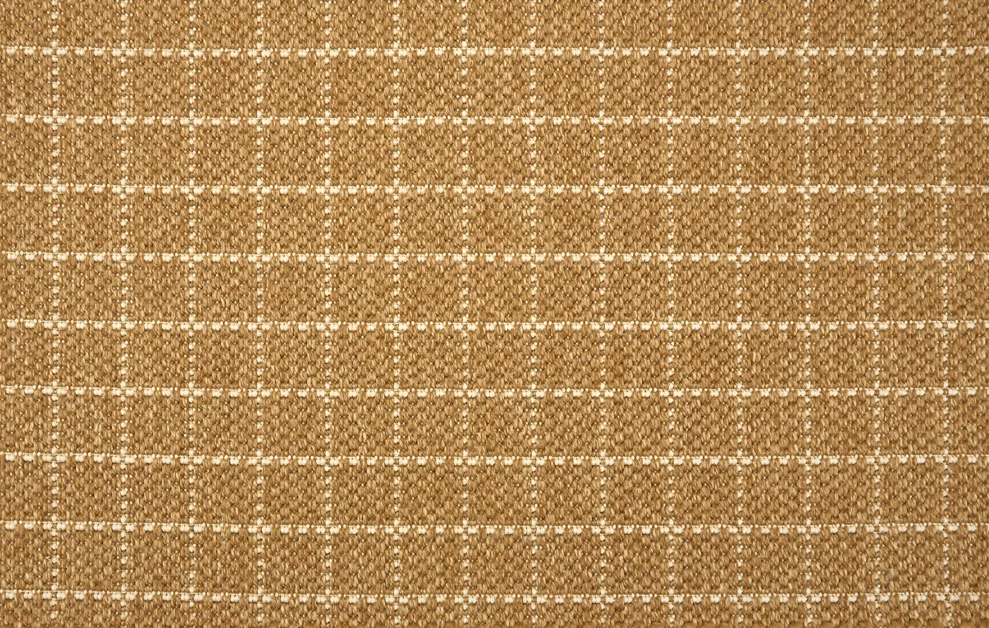 Corollaceous Golden Wheat
