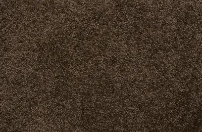 Mocha