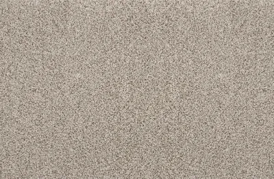 Pebble