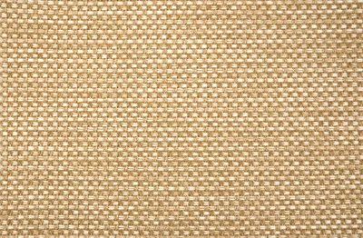 Golden Wheat
