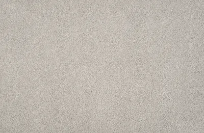 Grey Dove