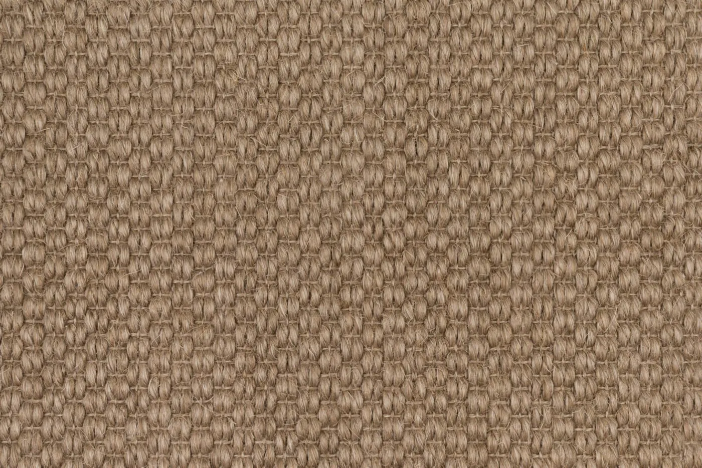 Trilby Bark