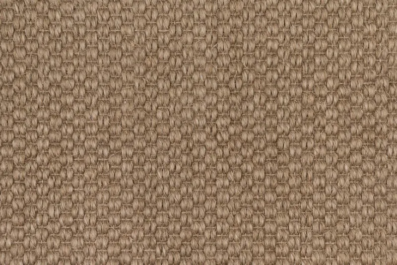 Trilby Bark