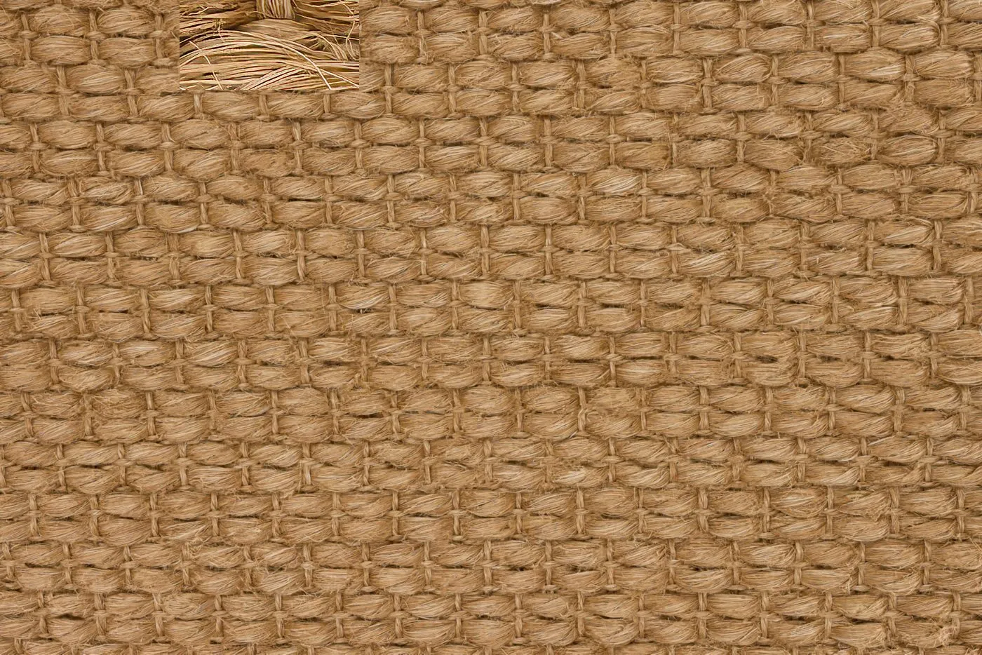Trilby Cinnamon
